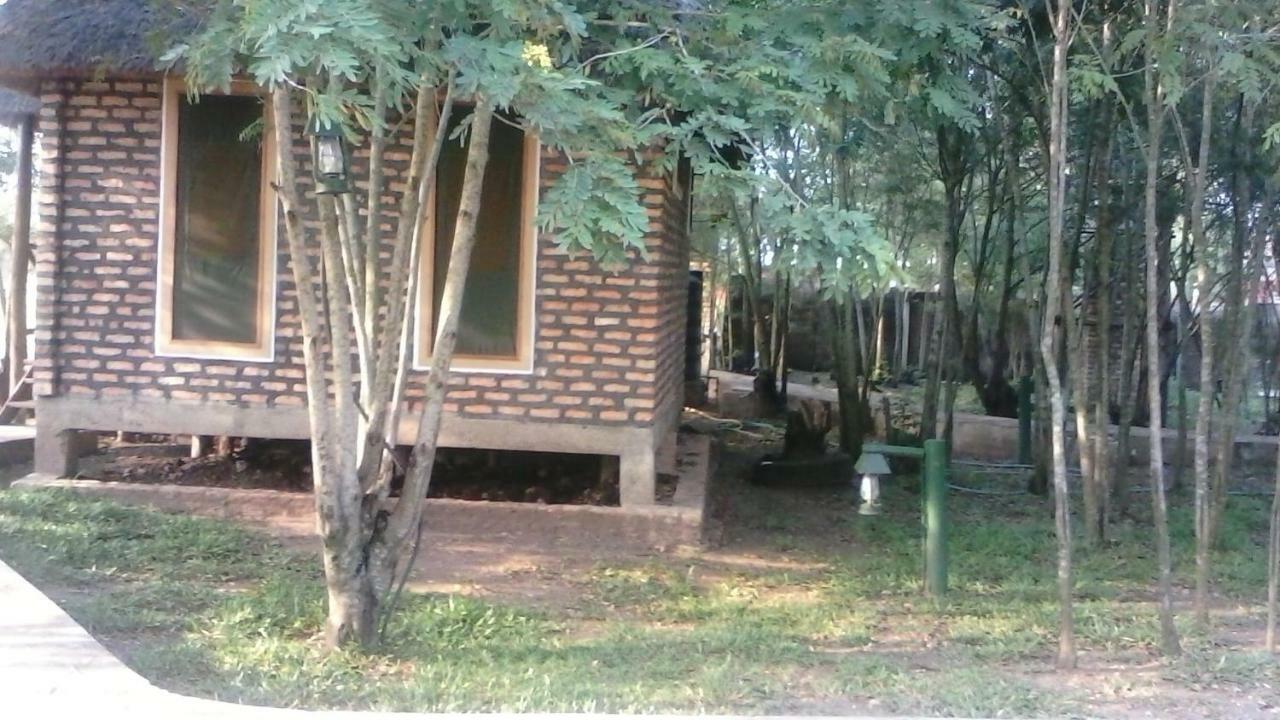 Irungu Forest Safari Lodge Katunguru Экстерьер фото